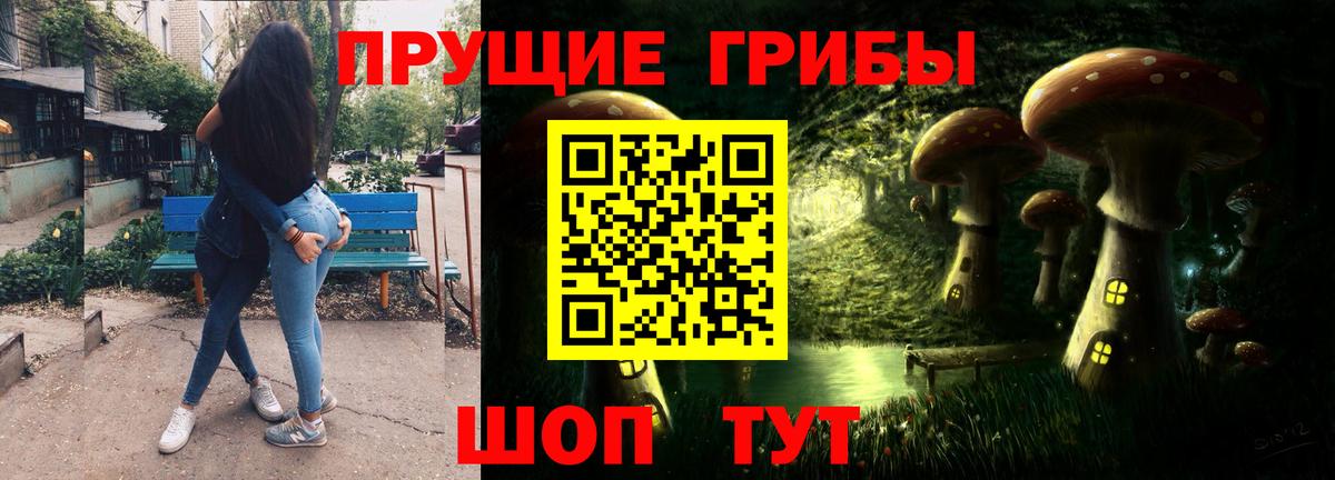 Галлюциногенные грибы GOLDEN TEACHER  Вход с VPN  Вологда  как найти наркотики  Галлюциногенные грибы Psilocybe 